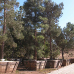 Fallbrook 4